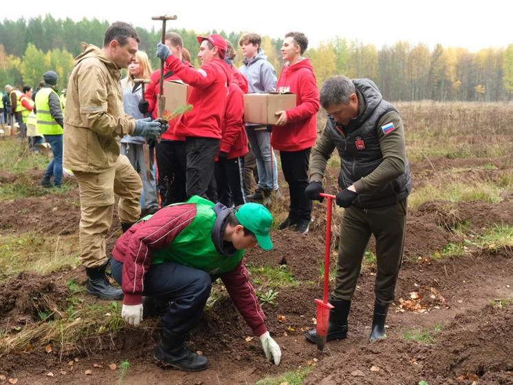 В октябре в Прикамье стартует новая экологическая инициатива – «День защиты лесов»