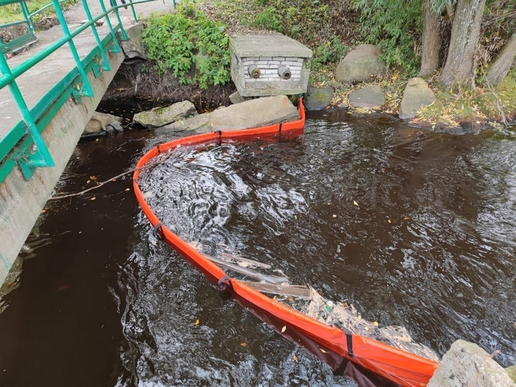 Масляные пятна нашли в Лососинке в Петрозаводске
