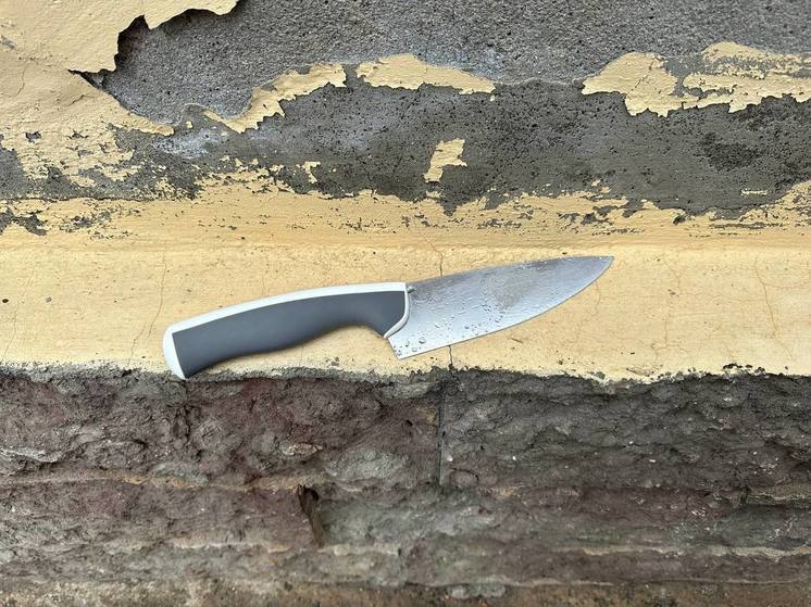 В Гатчине на детской площадке брошенный в здание нож ранил ребенка в грудь
