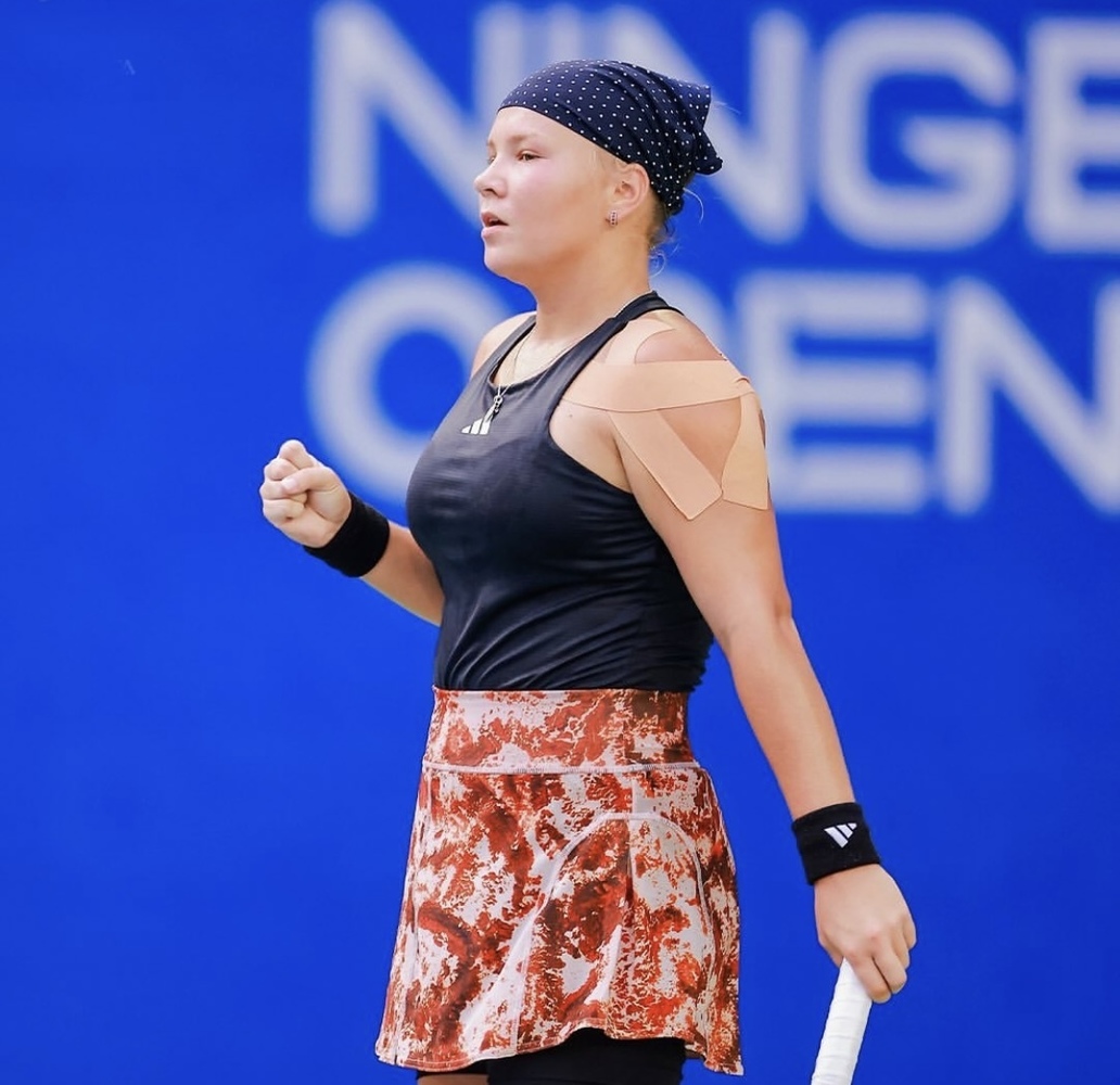 шнайдер чжу линь