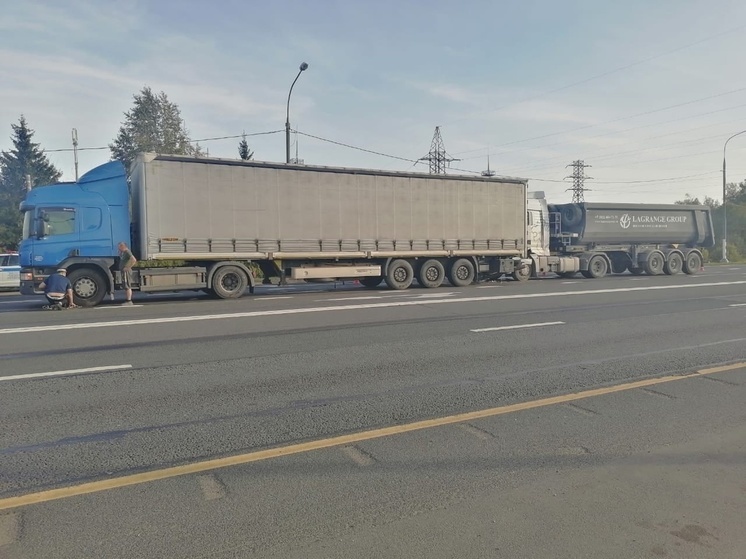 В Новгородской области на трассе М-10 столкнулись два грузовика