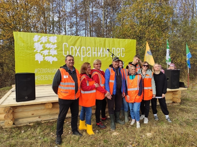 В одном из районов Ярославской области высадили более трех тысяч елей