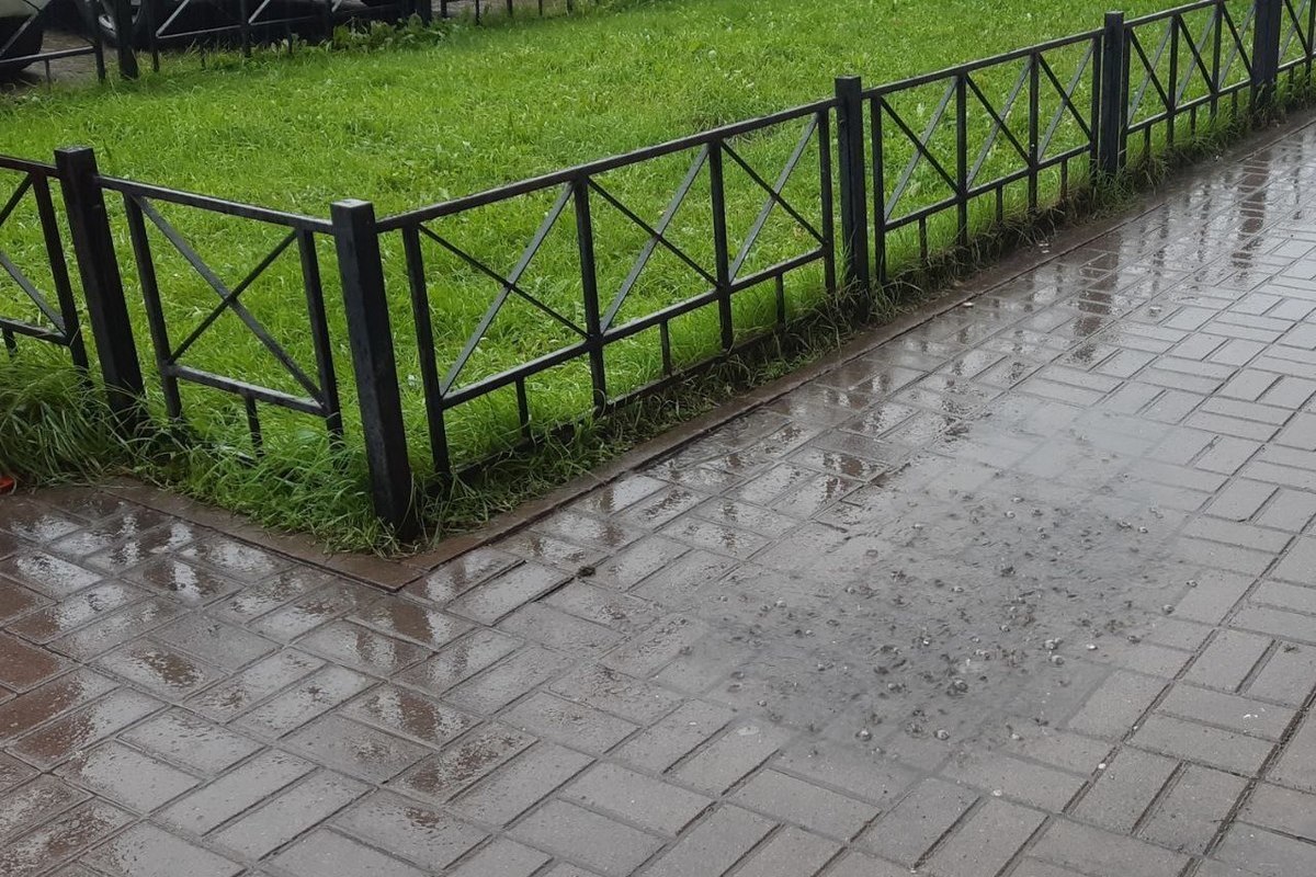 Синоптик Колесов рассказал, что в Петербург на выходных придут ветер и дождь