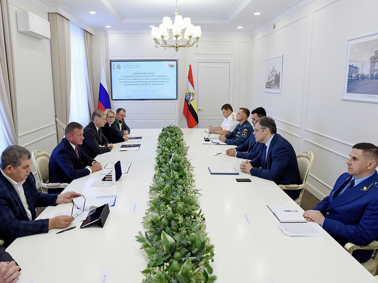 Курскую область посетил посол по особым поручениям МИД России Мирошник
