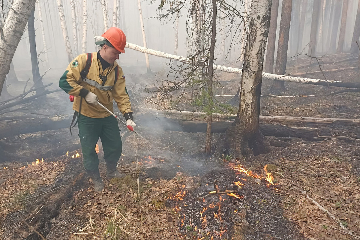 Пожароопасный сезон в Поморье завершается со 2 октября