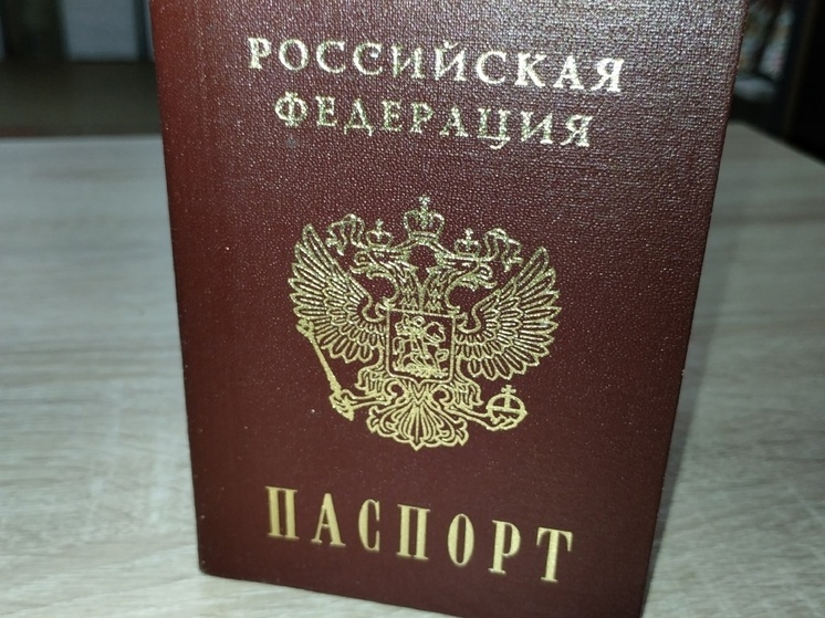 Конкурс видеороликов поможет юным дончанам посетить Москву и получить паспорта РФ