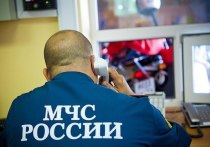 Поисковая операция идет в лесном массиве Комсомольского района