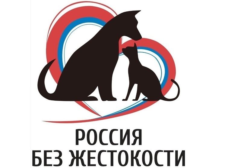 В Ярославле подростка подозревают в истязании животных