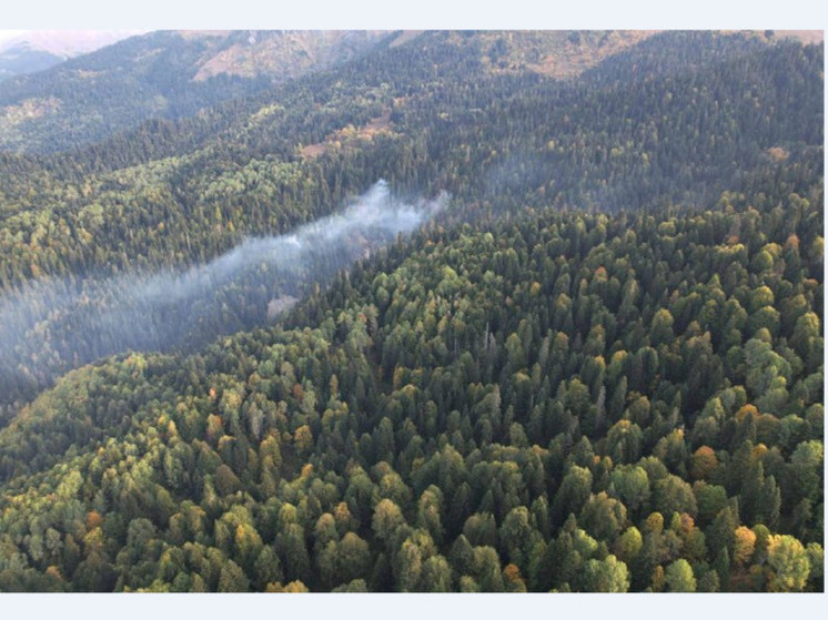 В Карачаево-Черкесии оперативно потушили лесной пожар
