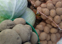 Как сообщили в минсельхозе Хабаровского края, на Ярмарке выходного дня прошел День картофеля