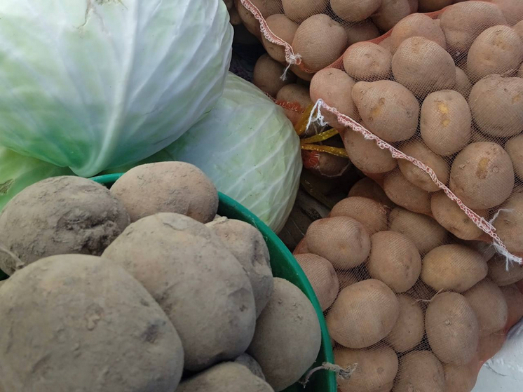 В Хабаровске отметили День картофеля