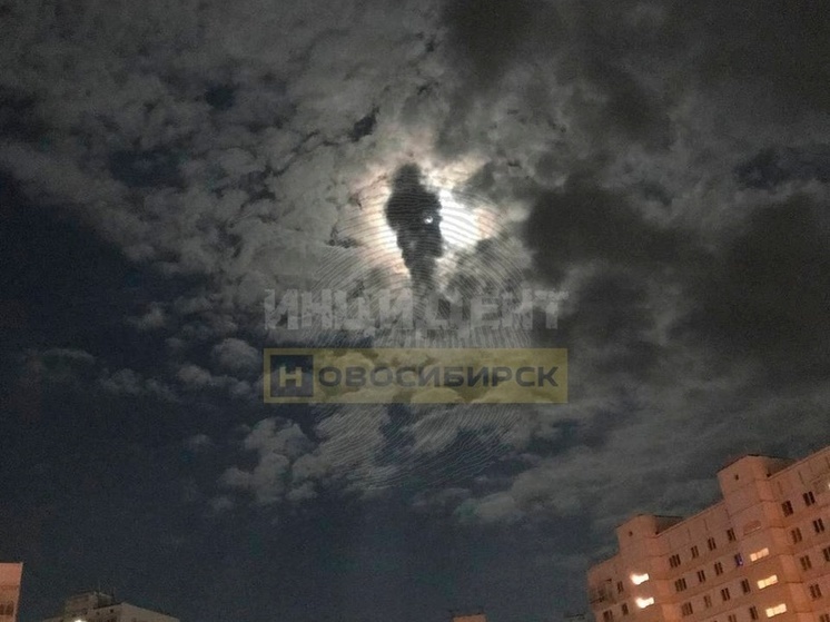 Необычный силуэт в небе заметили жители Новосибирска