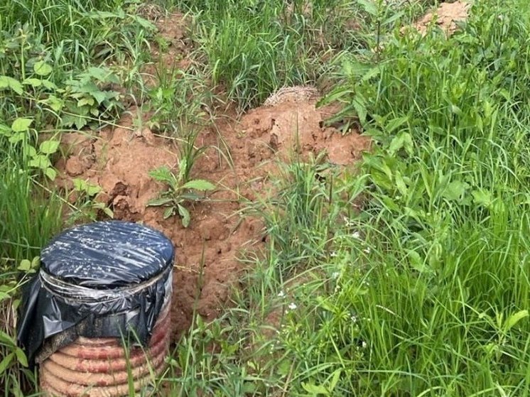 Экологи потребовали прекратить загрязнение химкинских земель