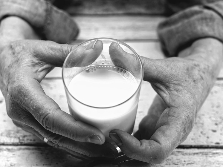 Германия — Внимание: молоко двух производителей может стать причиной инфекций