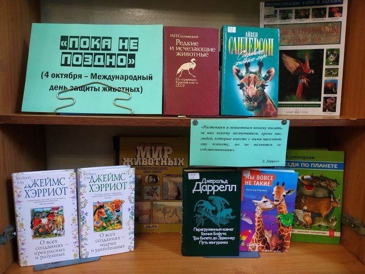 В Орле открыли выставку в честь Дня защиты животных