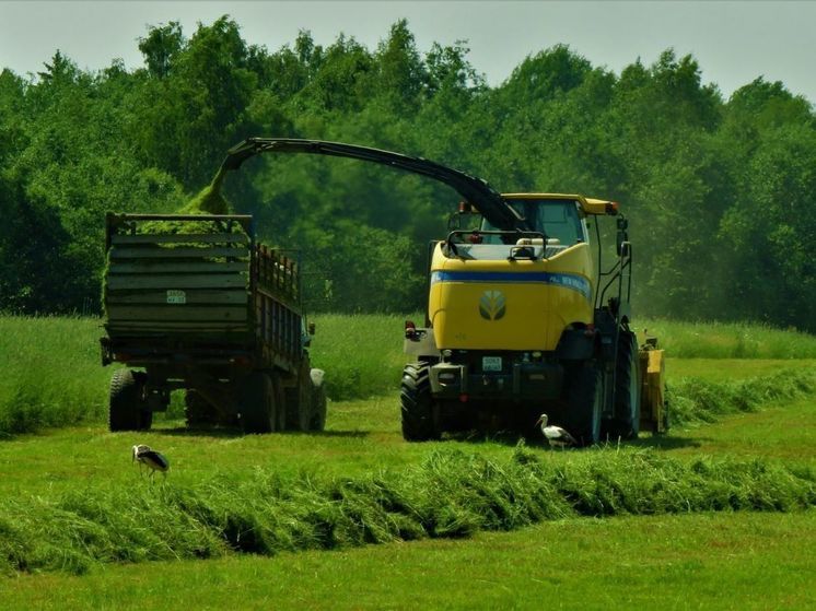 Новгородские аграрии экспортировали сельхозпродукции на 12 миллионов долларов