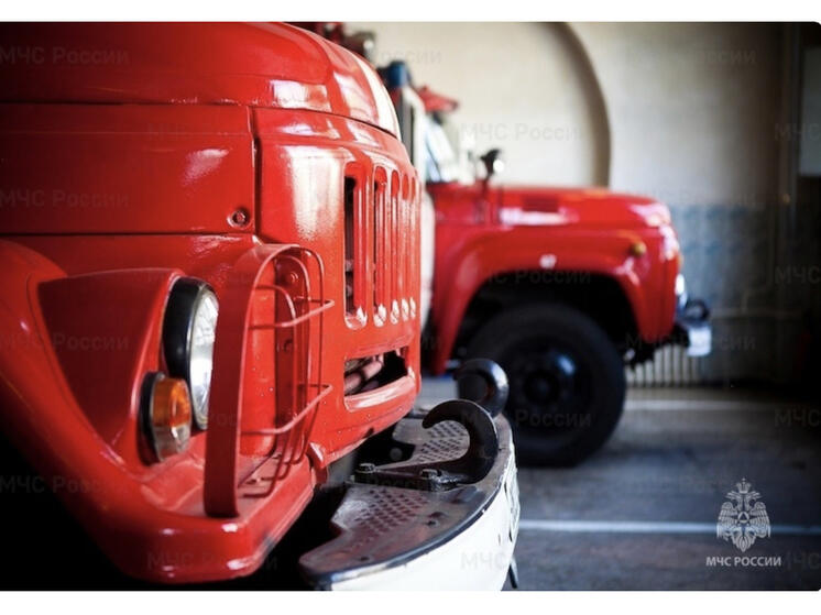 В Велиже сгорел автомобиль