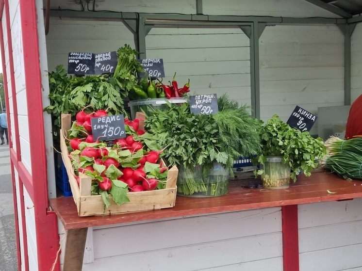 Редис на ярмарке в Петрозаводске за ночь подорожал на 30 рублей