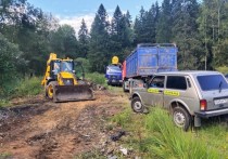 В Московской области за сентябрь в лесах убрали 224 навала с мусором