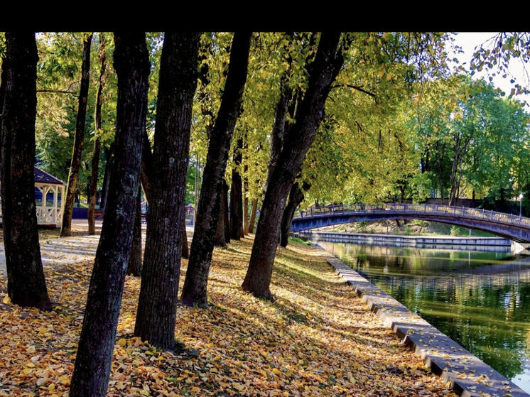 Смоляне на туристические путёвки потратили 611,8 млн рублей