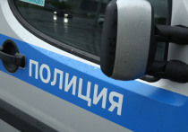 В Солнечногорске 70-летняя жительница подала заявление в полицию