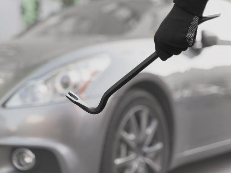 Бесстрашный житель Карелии обокрал автомобиль на охраняемой стоянке