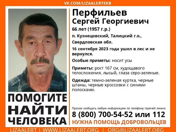 Пенсионер пропал в лесу Свердловской области
