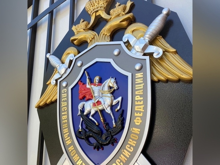 Для удобства смолян действуют дистанционные способы связи со Следственным комитетом