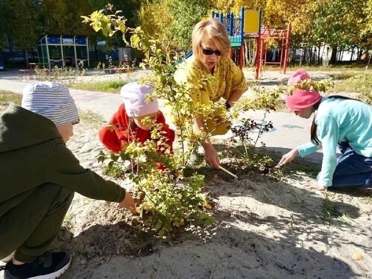 В Ноябрьске по просьбе пенсионерки у школы посадили аллею