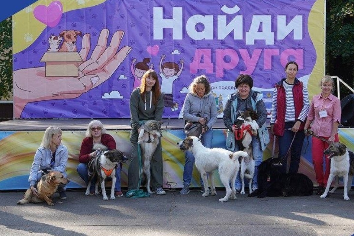 В Калуге шесть собак нашли новых хозяев на ярмарке по пристройству животных