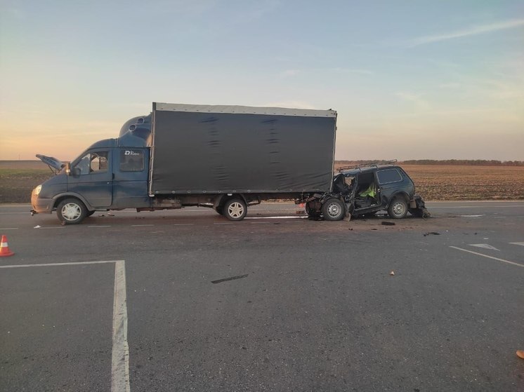 В ДТП в Татищевском районе погибли два человека
