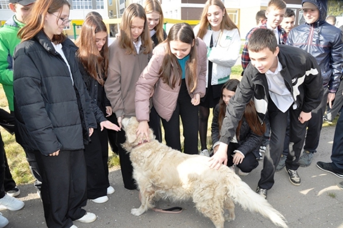 Учащимся костромской школы показали, как работают служебные собаки в тюрьмах