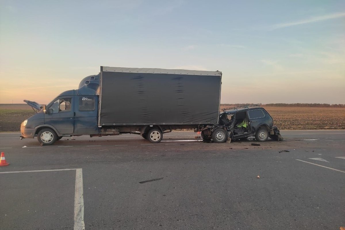 В ДТП в Татищевском районе погибли два человека - МК Саратов