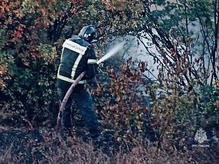 Сотрудникам МЧС ДНР удалось спасти амвросиевское лесничество от пожара