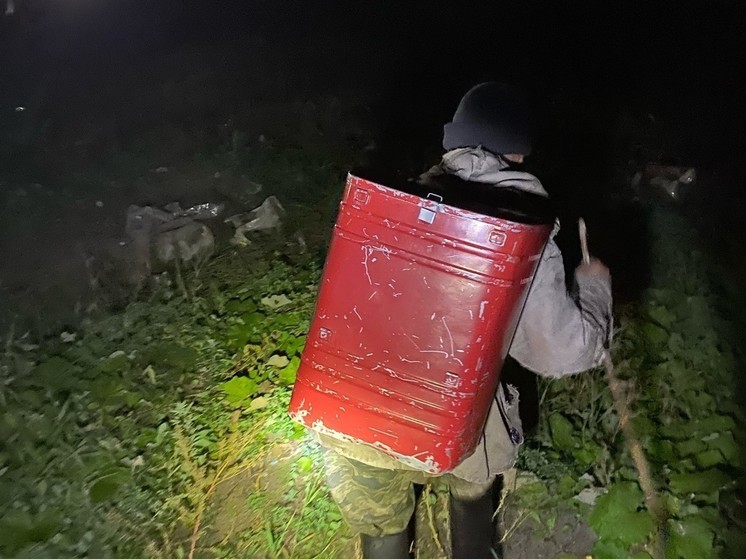 Спасатели вывели мужчину из северодвинских болот