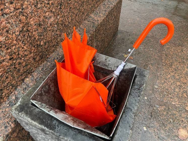 Сильный ветер подует в Ленобласти 1 октября