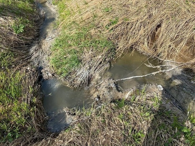 Полиция ищет виновных в загрязнении водоемов в Подмосковье
