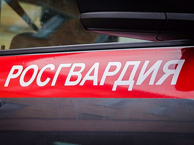 Находящийся в розыске мурманчанин был задержан росгвардейцами