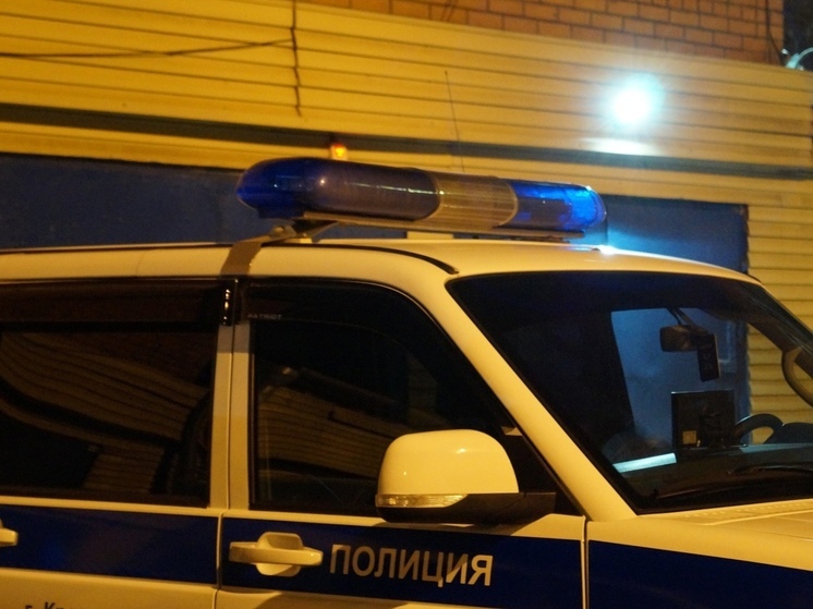 Полиция проводит проверку после избиения мужчины толпой мигрантов в Новосибирске