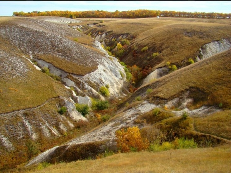 Фашисты в воронеже фото