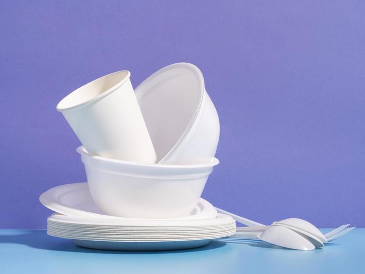 Общественникам Петрозаводска нужна одноразовая посуда для кормления бездомных