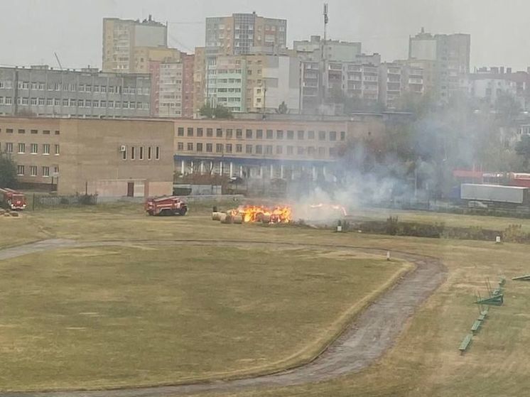 Нити стадион Рязань стадион