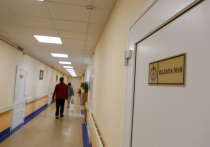 В четверг, 28 сентября, правительство Новгородской области и Национальный медицинский исследовательский центр имени Алмазова заключили соглашение о сотрудничестве