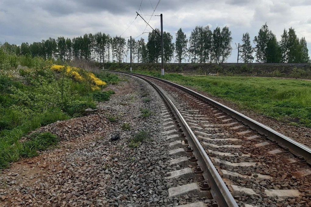 В контакте шкуры фото