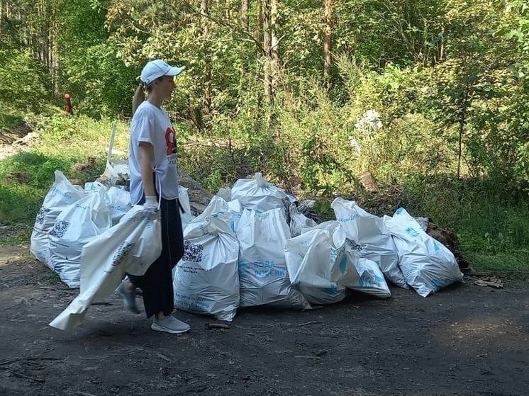 Оцифровка фото в курске