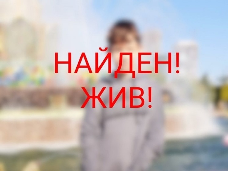 Найти котенка по фото