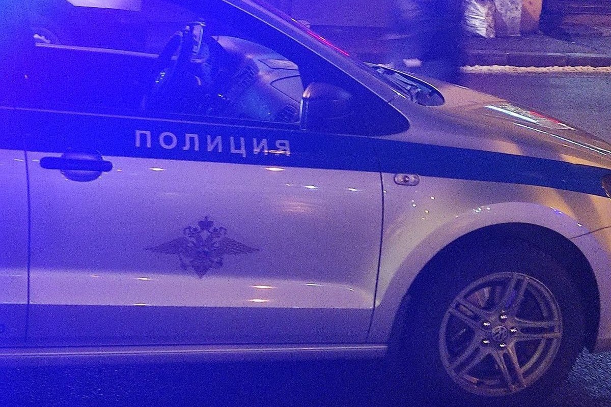 Полиция Петербурга задержала гнавшегося за женщиной и ребенком мужчину