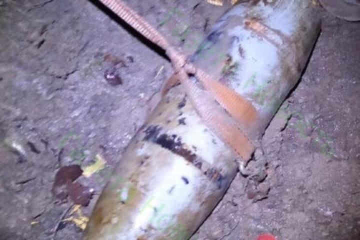 В Ростовской области на берегу Северского Донца нашли снаряд