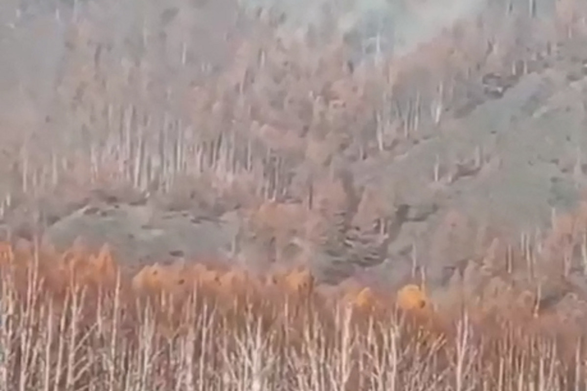 На севере Бурятии локализовали лесной пожар на 45 гектарах