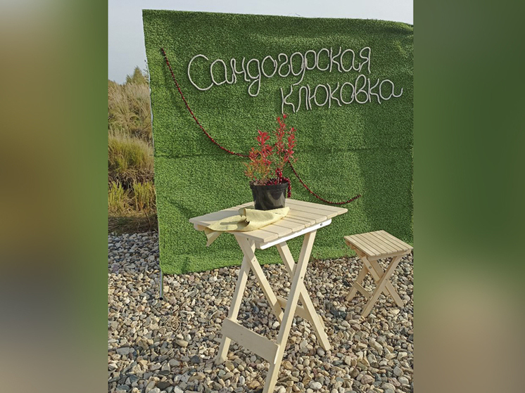 В костромском поселке Сандогора собирали и разбирали туристические буклеты